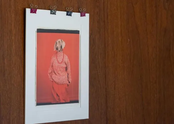 Stars View By Portugal Active